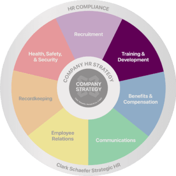 Clark Schaefer Strategic HR's wheel of HR services, with Training & Development Services highlighted in purple.