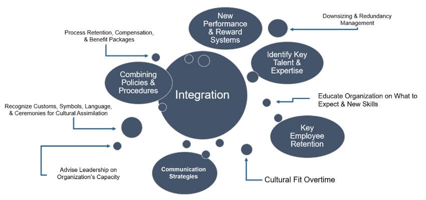 IMAGE - M&A Integration Chart
